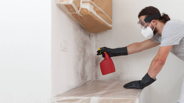 Professional Mold Testing technician working in Clementon, NJ