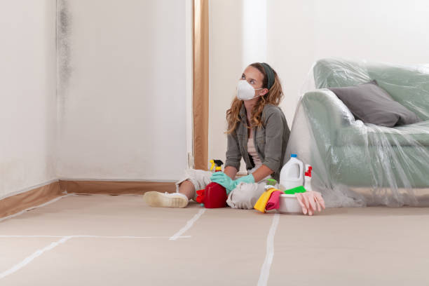 Reliable Mold Remediation contractor in Clementon, NJ by Cheap Mold Removal